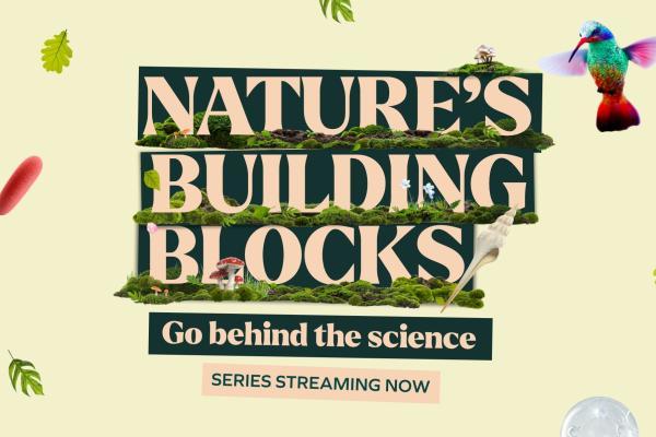 Nature's Building Blocks