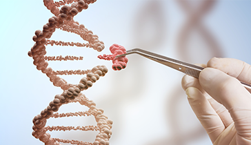 Genome Editing