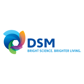 DSM