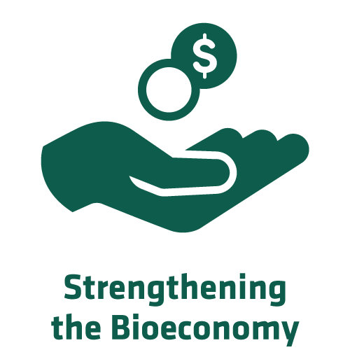 Impact-ThemeIcon-Bioeconomy