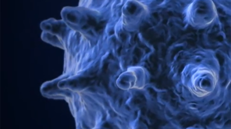 VBIO-2020-invivovid.png