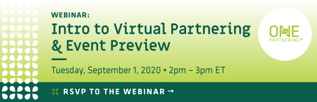 Intro to Virtual Partnering Webinar