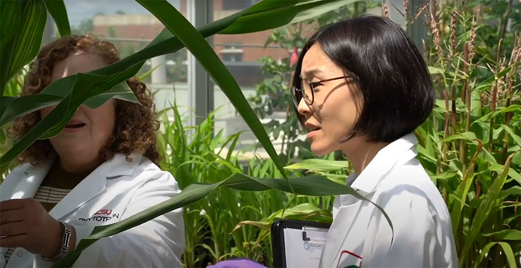 Woman in ag lab