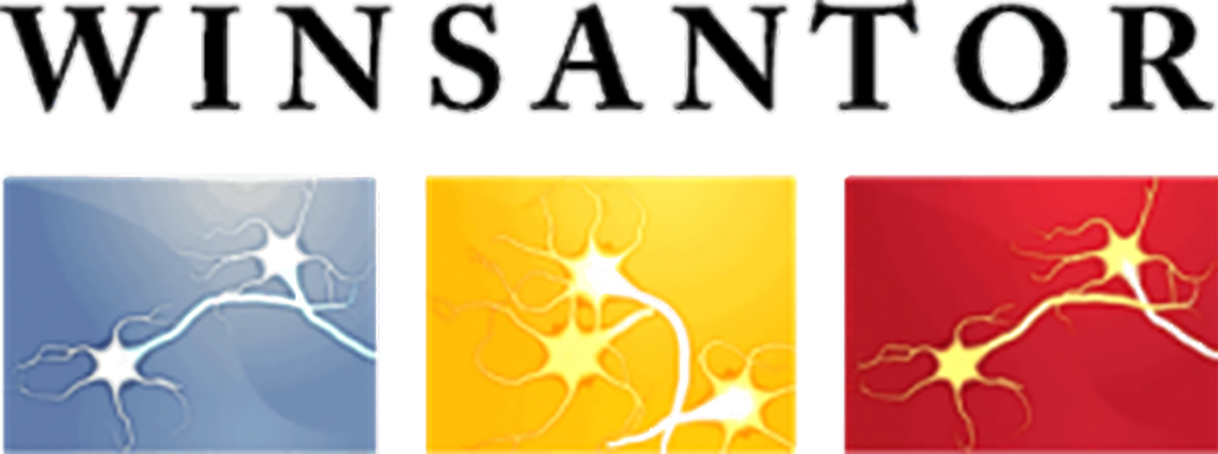 WinSanTor logo.png