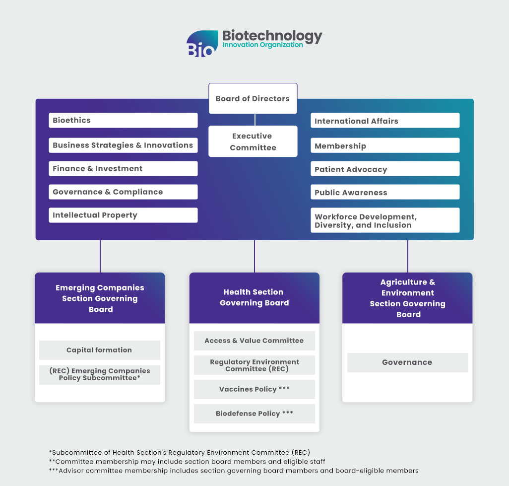 Board and Committee structure