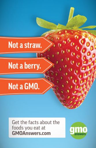 GMO Strawberries