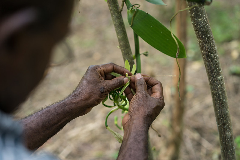 Where is the Next George Washington Carver? 