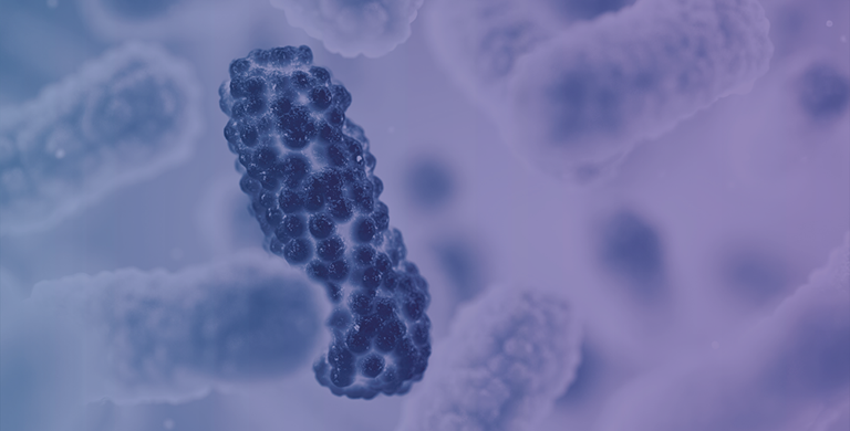 Desperate to Stop a Resistant Bacterial Infection