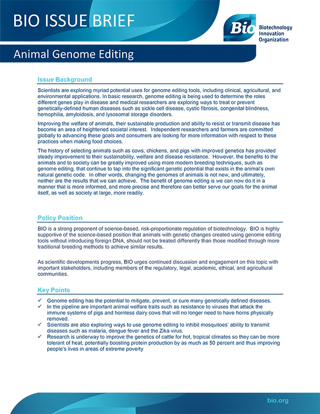Animal Genome Editing