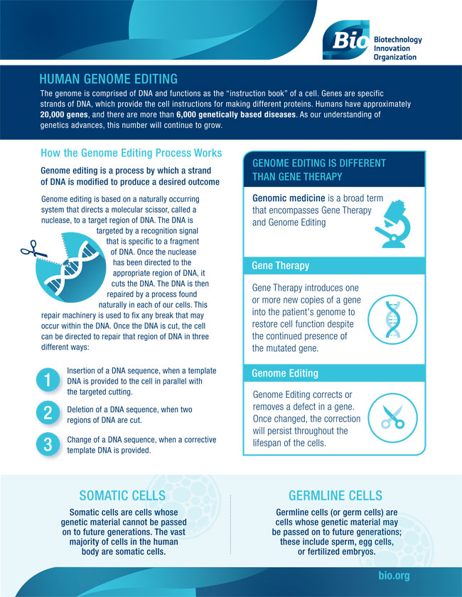 Human Genome Editing