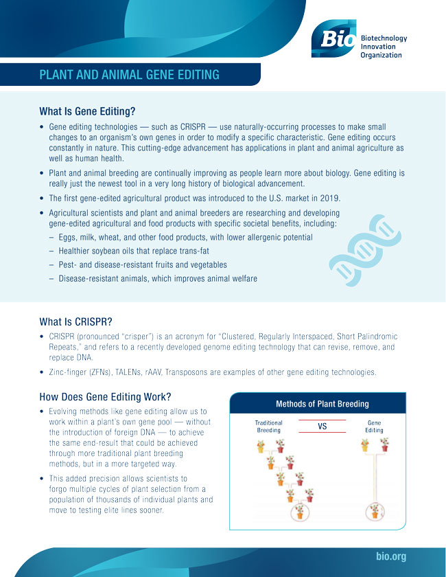 Plant and Animal Gene Editing