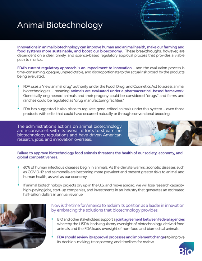Animal Biotechnology