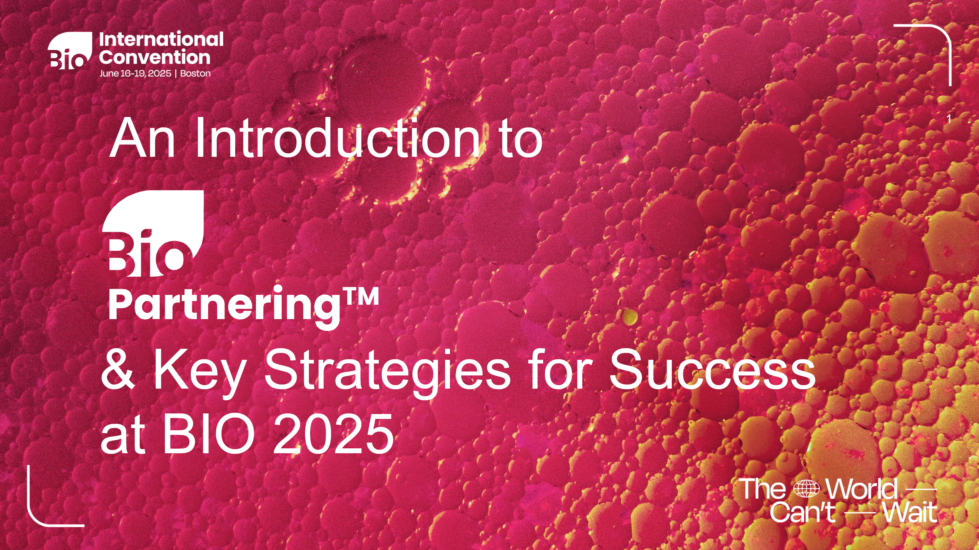 An Introduction to BIO Partnering