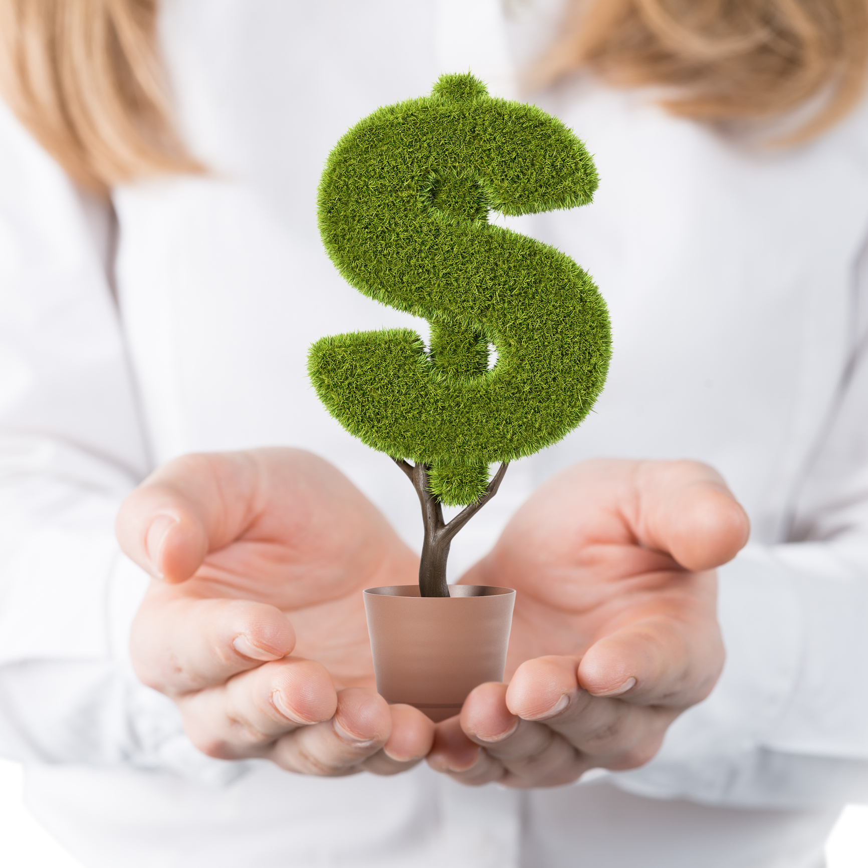 Savings dollar tree image