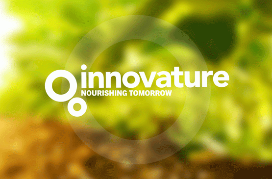 innovature logo