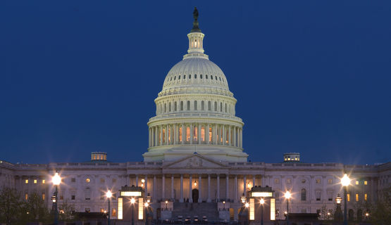 U.S. Capitol Dome