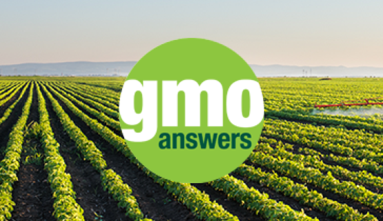 BTN GMO Answers