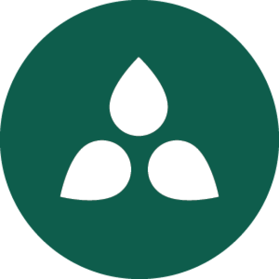 Sustainability