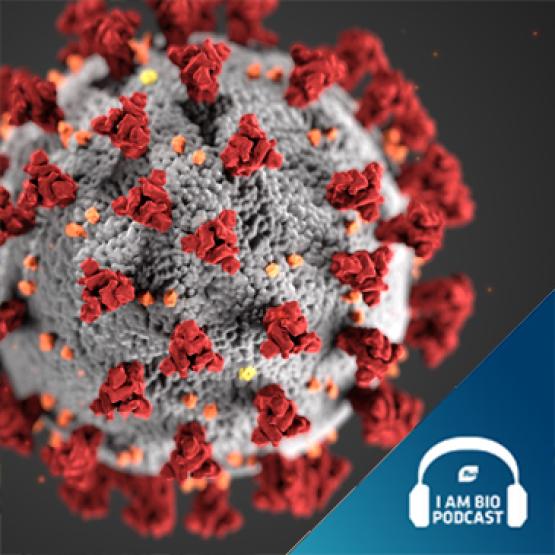 IamBIO-epd-19