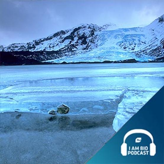 IamBIO Podcast Iceland