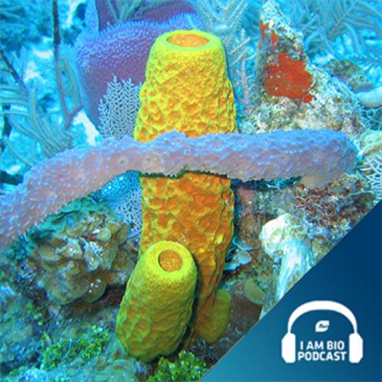 IamBIO Podcast Epd. 23