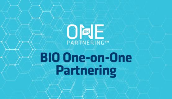 One on One Partnering