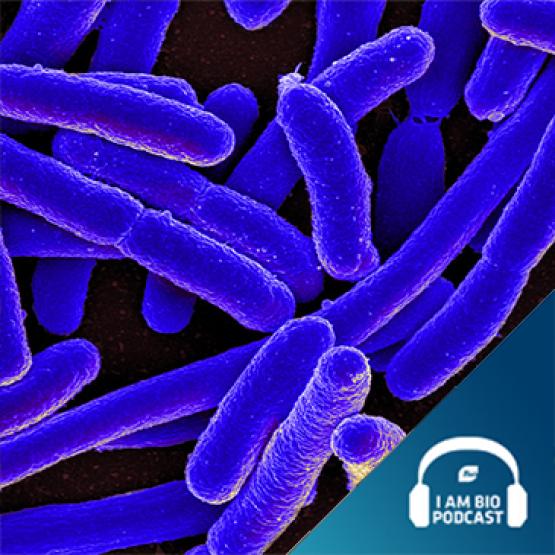 I am BIO Podcast Epd 28