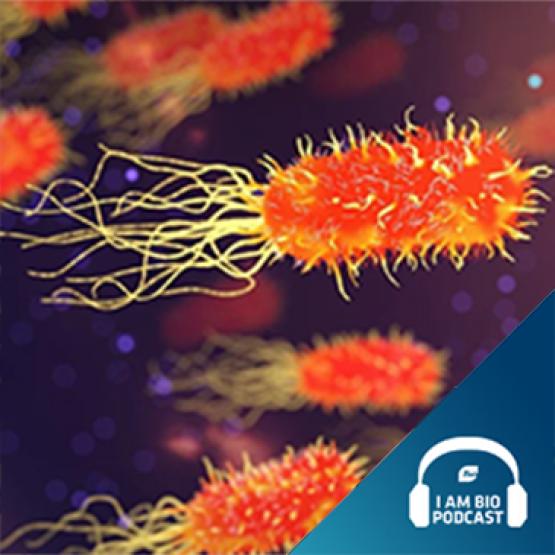 I am BIO Podcast Epd 27