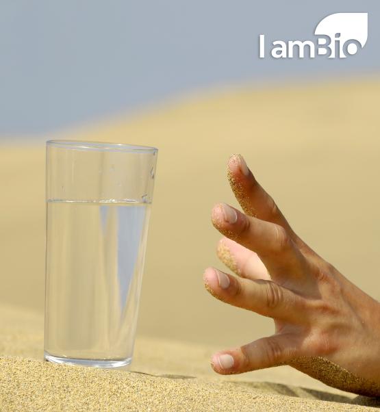 water episode