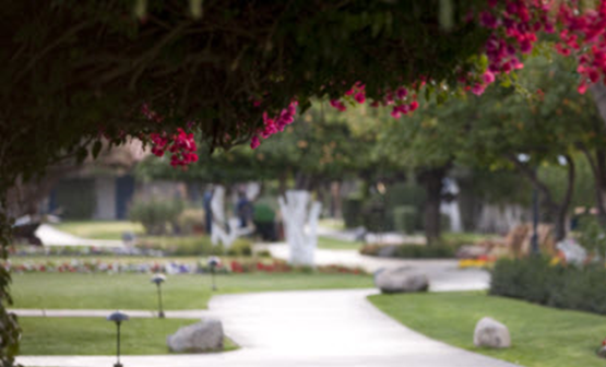La Quinta