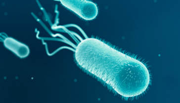 Health-AMR-Action-Image
