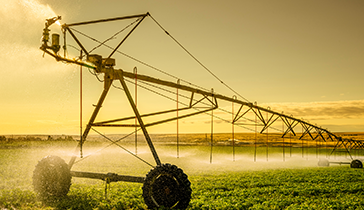Irrigation