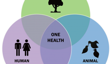 One Health