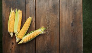 Corn on wood