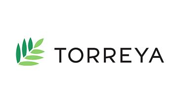 Torreya