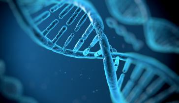 DNA Strand