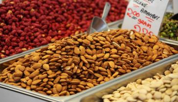 Escaping the Food Allergy Prison