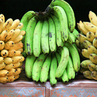 Bananas