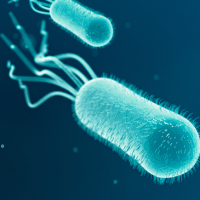 Health-AMR-Action-Image
