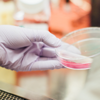Researcher in a Lab