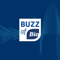 Buzz of BIO