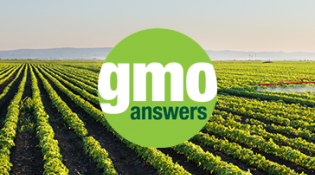 BTN GMO Answers