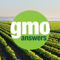 BTN GMO Answers