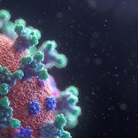 Coronavirus 