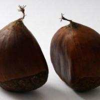 Two chestnuts 