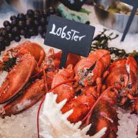 Lobster sitting on ice 