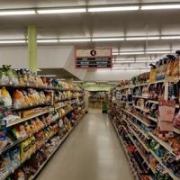 Sustainable Packaging Bioplastics