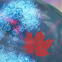 Global Marketplace Canada