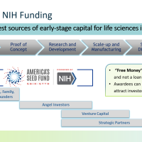 NIH SBIR webinar timeline slide