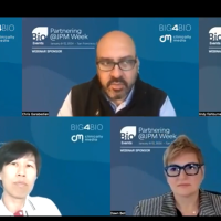 Screenshot of webinar